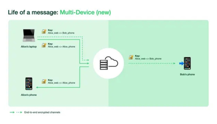 WhatsApp Multi Device process