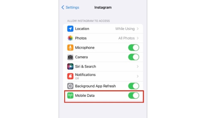 enable mobile data for-Instagram