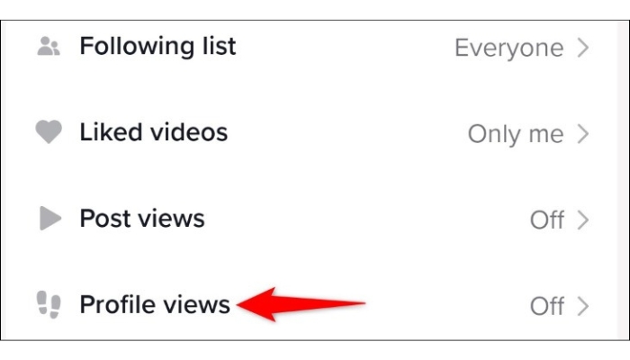 tiktok profile views 