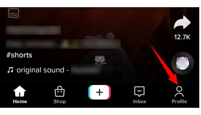 tiktok profile