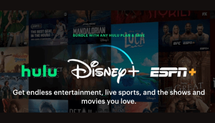 How Much is Hulu? Price, Plans And Add-ons - How Much Is The Hulu Hbo Add On