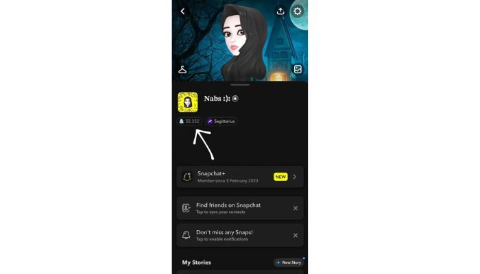 Snapscore
