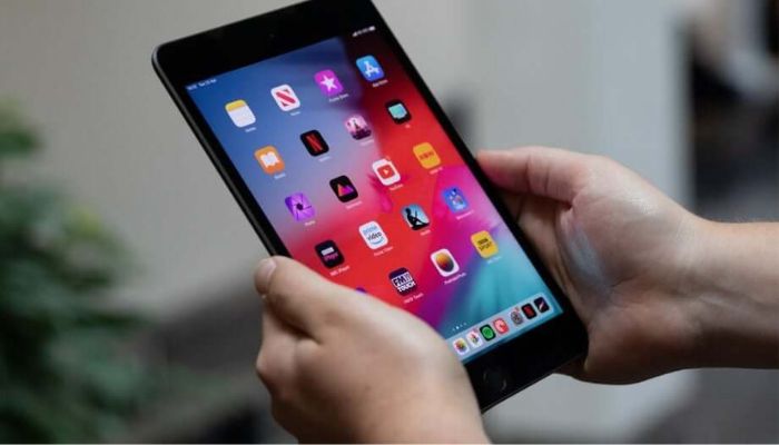 iPad Mini 5th Gen