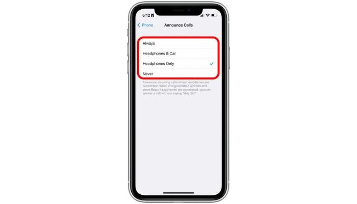 Airpods Settings