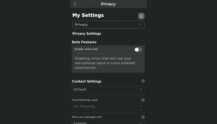 Enable Voice Chat on Mobile-