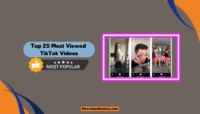 Most Viewed TikTok Videos