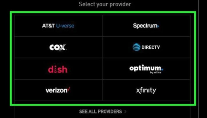 Select Your Provider