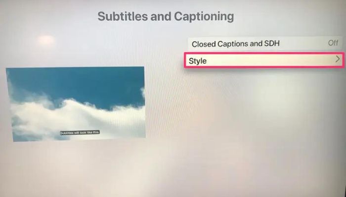 Subtitles And Captioning Style