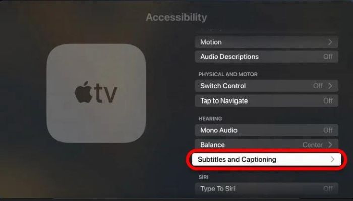 Subtitles And Captioning