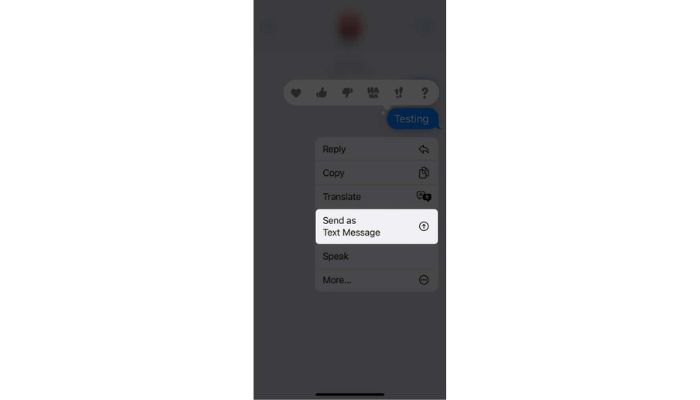 How To Fix IMessage Not Delivered Error text-messages-using-sms-instead-of-imessage-ios-17-guide-tapsmart