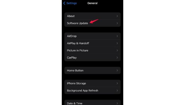 Update Your iOS device