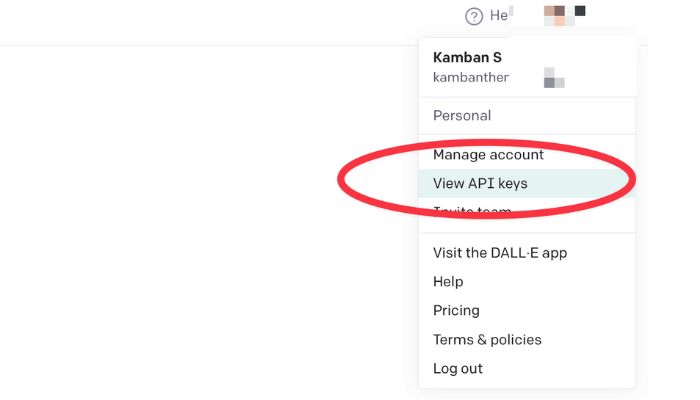 View API Keys
