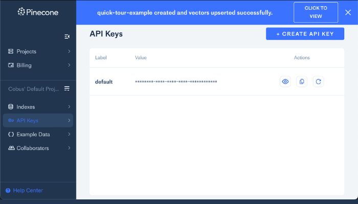 Pinecone API