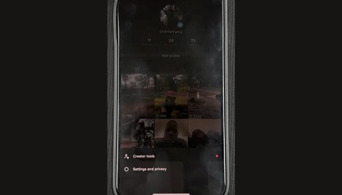 settings and privacy tiktok