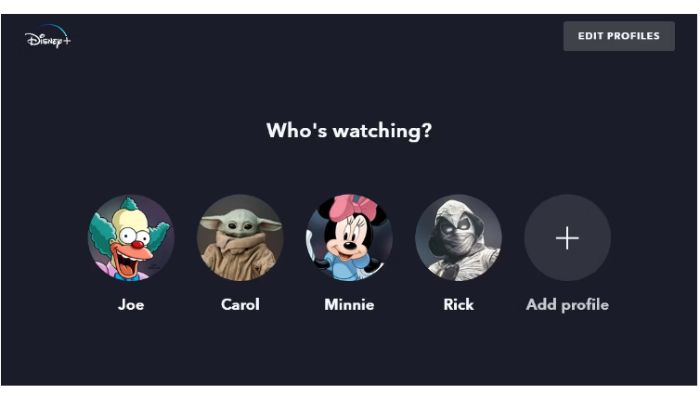 Custom Profiles On Netflix And Disney PLus