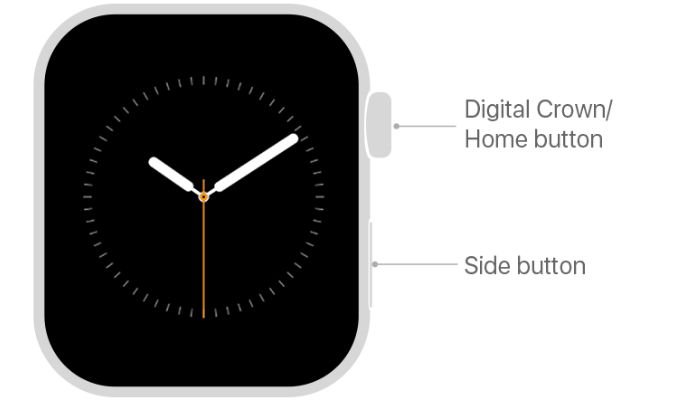 Digital Crown Button