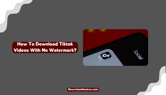 Download Tiktok Videos With No Watermark