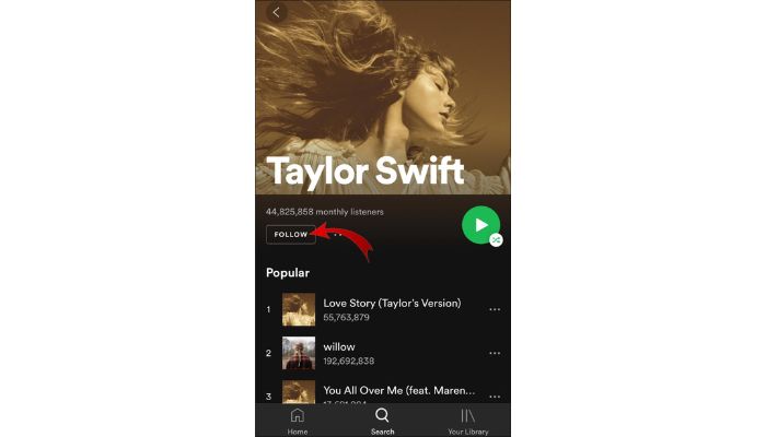 Follow artists on spotify