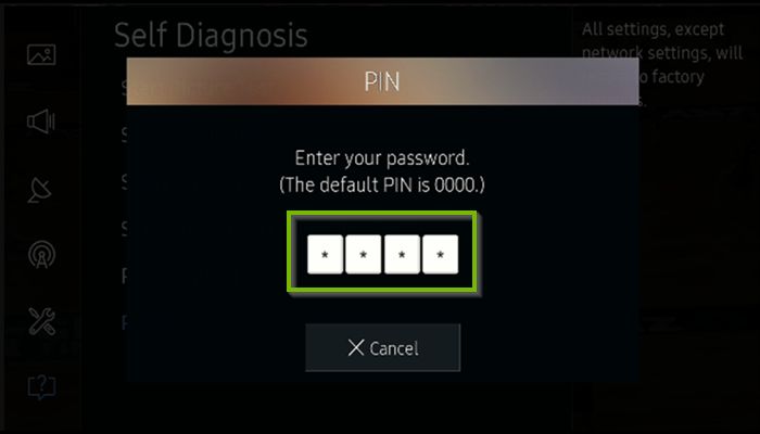 Self Diagnosis Pin