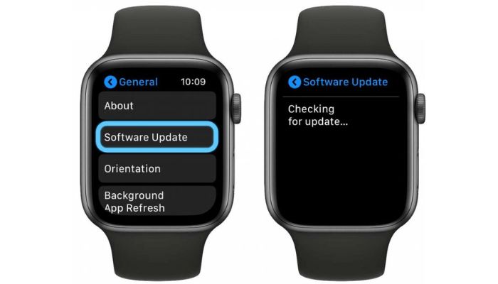 Software Update Apple Watch