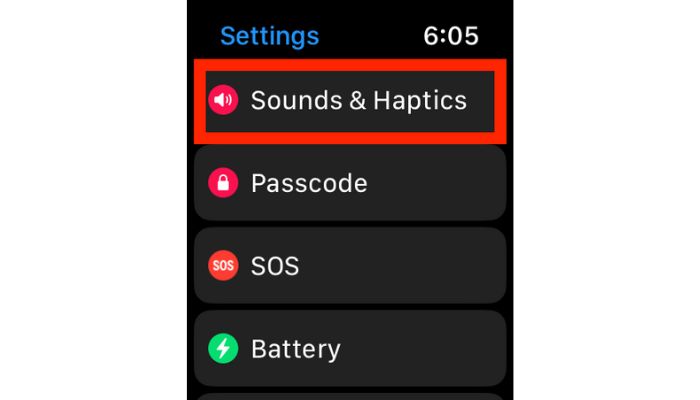 Sound And Haptics
