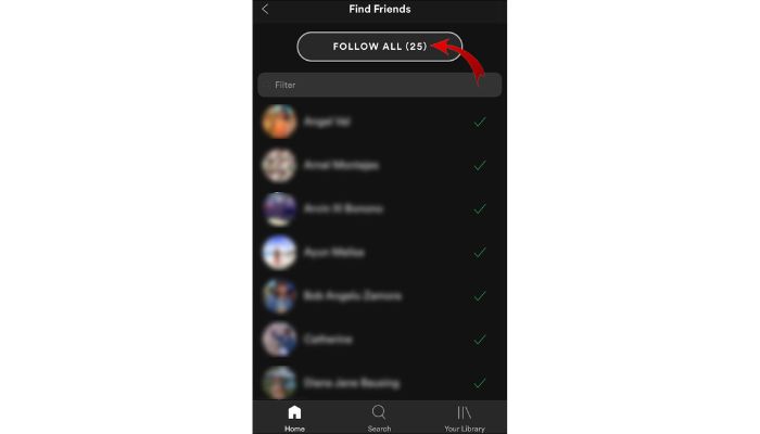 Spotify Follow Friends