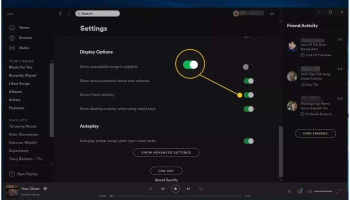 Spotify Friends Settings