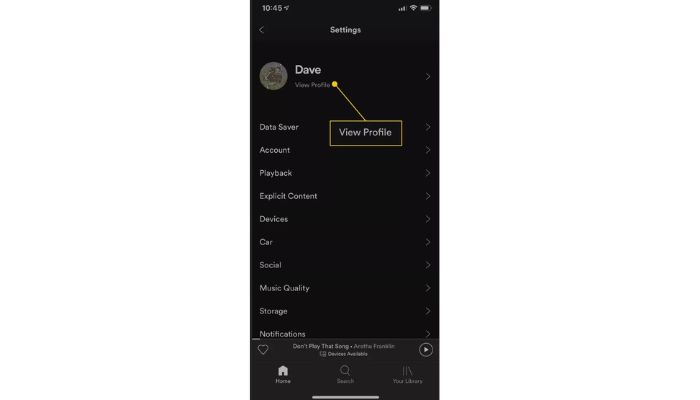 Spotify Profile View