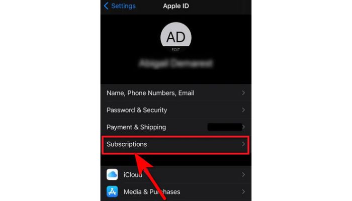 Tidal Subscriptions
