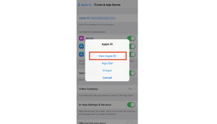 View Apple ID