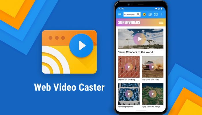 Web Video Caster