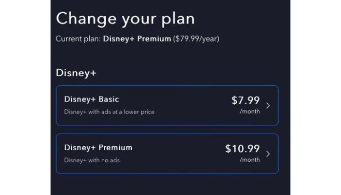 disney plan