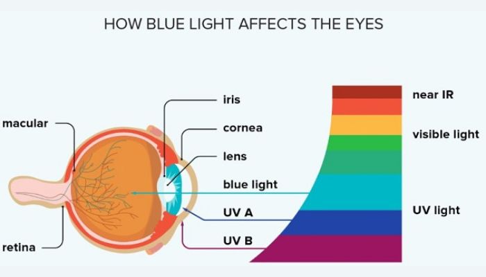 How Blue Light Affects The Eyes