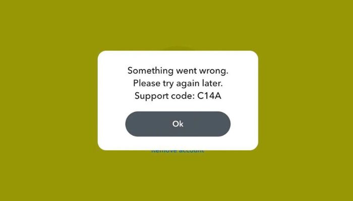 Snapchat Support Code C14a: How to Fix this Error?