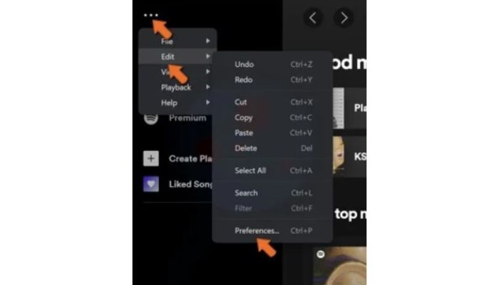 Spotify Preferences