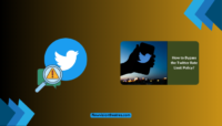 Bypass Twitter Rate Limit