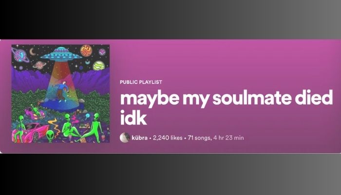 700 Spotify Playlist Name Ideas For Every Mood