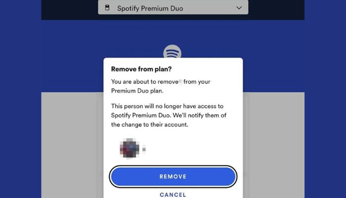 Remove Your Plan