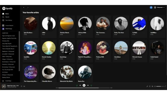Spotify Artists