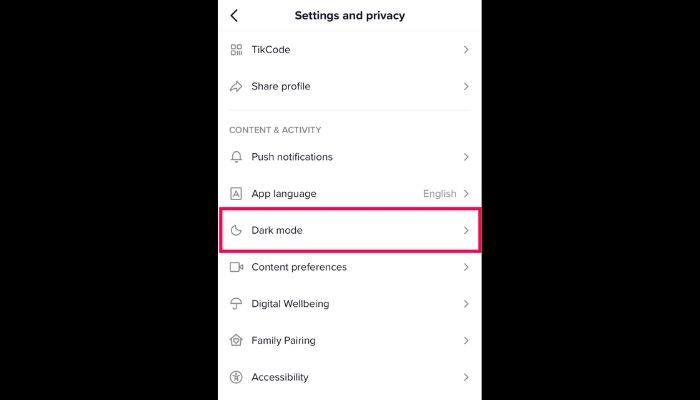 TikTok Dark Mode Option