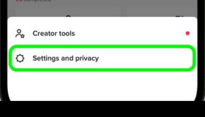 TikTok Settings And Privacy