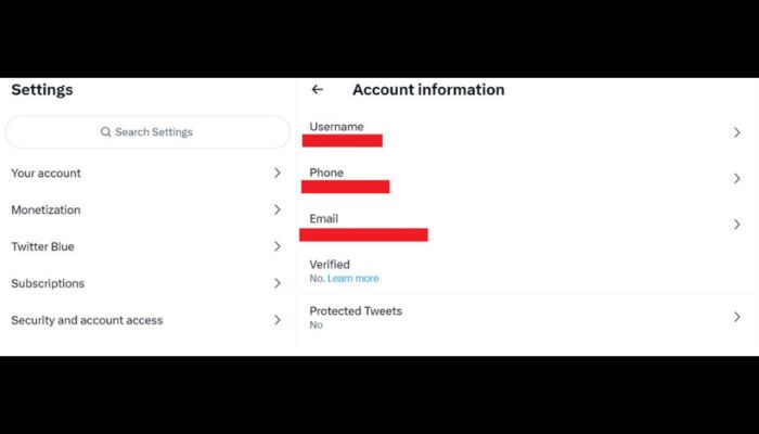 Twitter Account Information