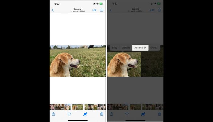 Use The Photos App