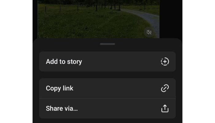 copy link option
