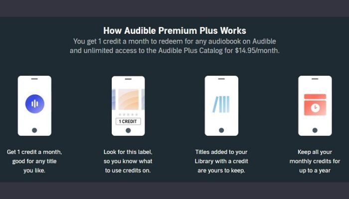 Audio Book Ownership