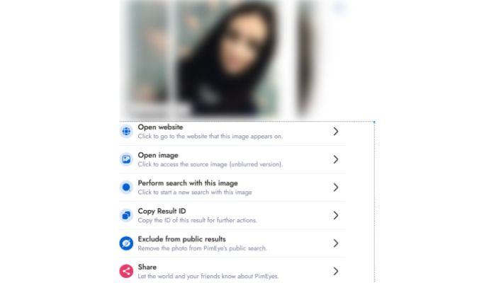 PimEyes: Facial Recognition & Image Search Tool