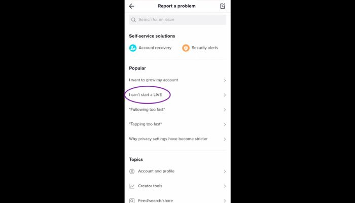 voice control for chatgpt example