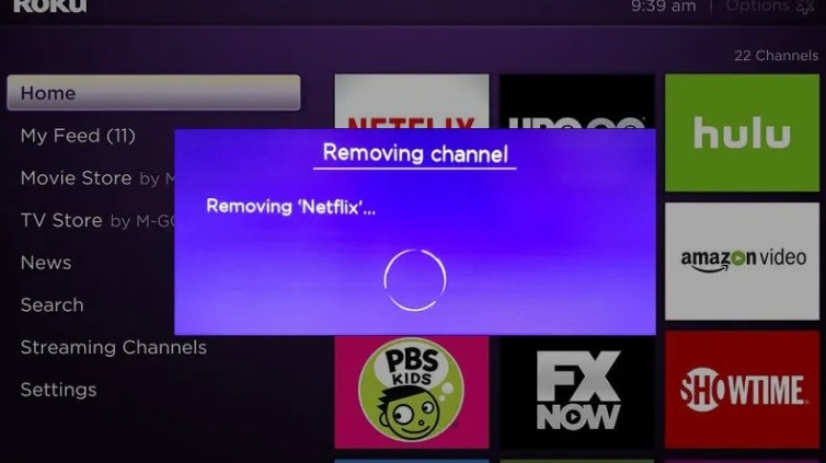 Select Remove Channel to Sign out of Netflix on Roku